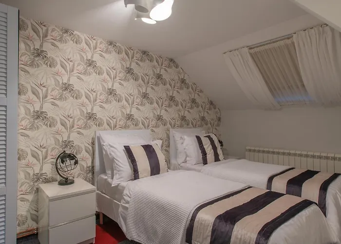 Maximilian Daire Belgrad