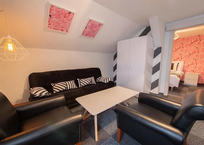 Maximilian Daire Belgrad